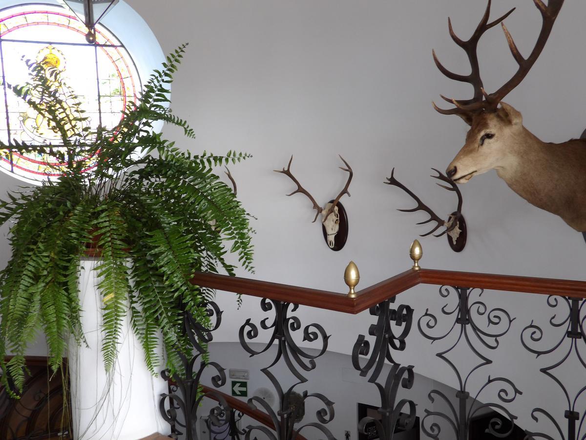 Palacio Donana , Rural & Luxury เอลโรซิโอ ภายนอก รูปภาพ