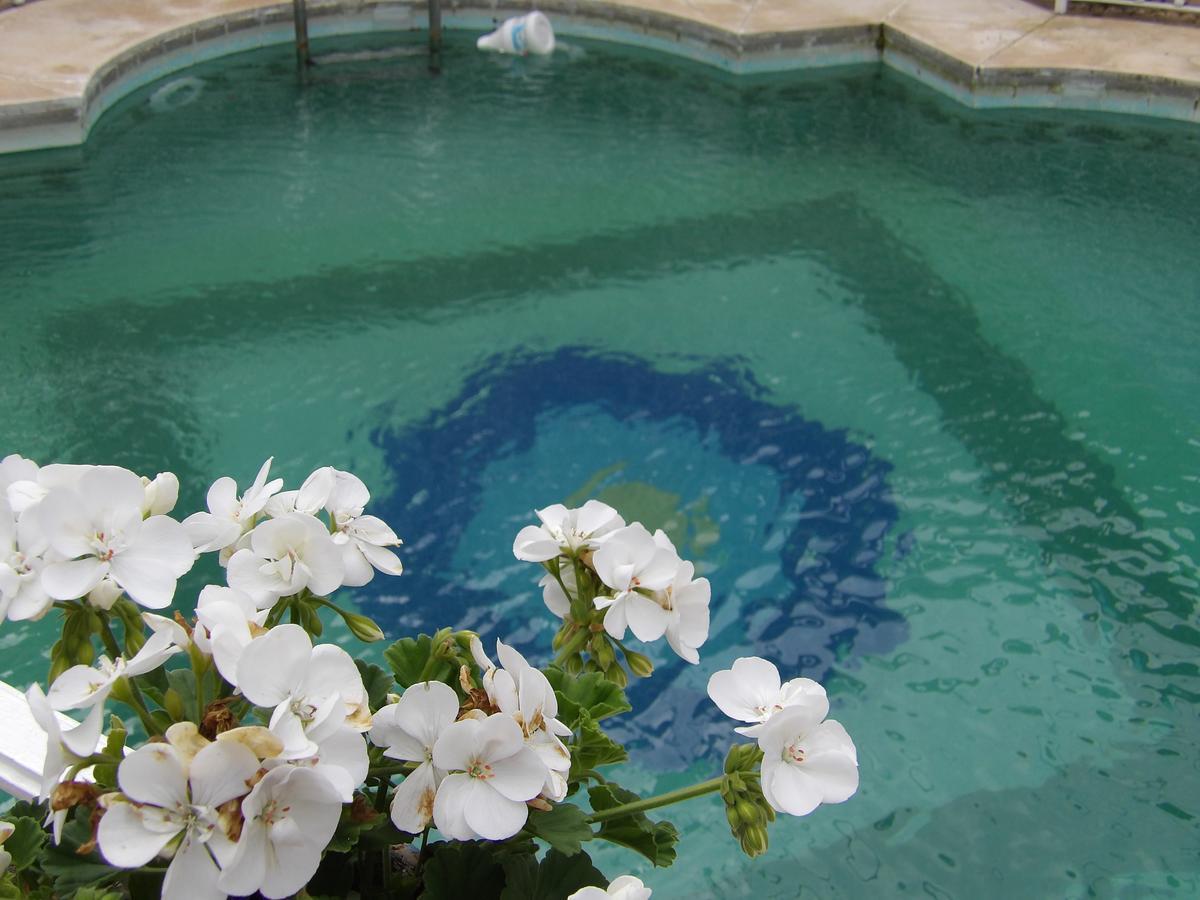 Palacio Donana , Rural & Luxury เอลโรซิโอ ภายนอก รูปภาพ